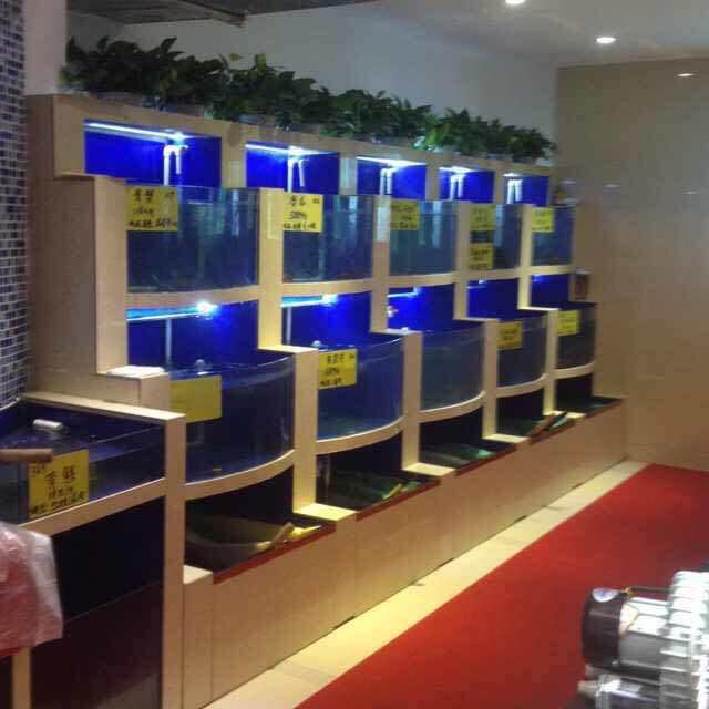 酒店海鮮池制作設計_賓館海鮮池設計制作_超市海鮮池魚缸制作設計