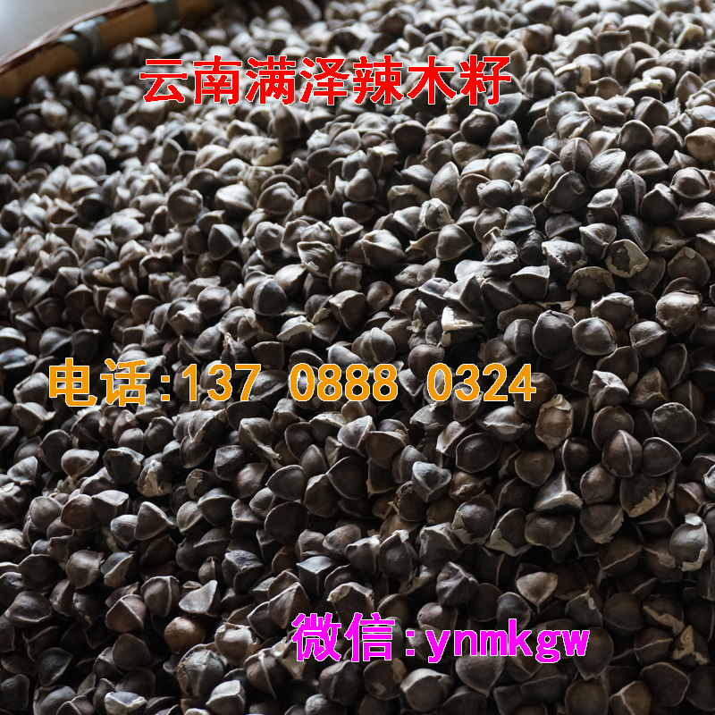 云南滿澤辣木籽*瘦身精選優(yōu)質(zhì)辣木籽，搭配云南滿澤辣木茶*瘦身、辣木籽*降三高