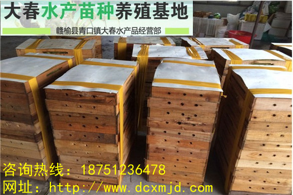 江蘇大閘蟹蟹苗/蟹苗批發(fā)