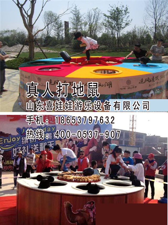 小型真人打地鼠*商