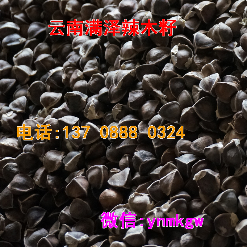 云南滿澤辣木籽*壓，辣木籽*，辣木籽*脂，辣木籽*糖，辣木籽治糖尿病，辣木籽消斑美顏，辣木籽功效與作用