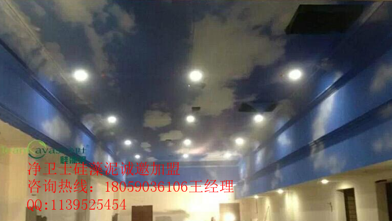 蘇州硅藻泥廠家｜蘇州硅藻泥加盟｜蘇州硅藻泥批發(fā)哪家好