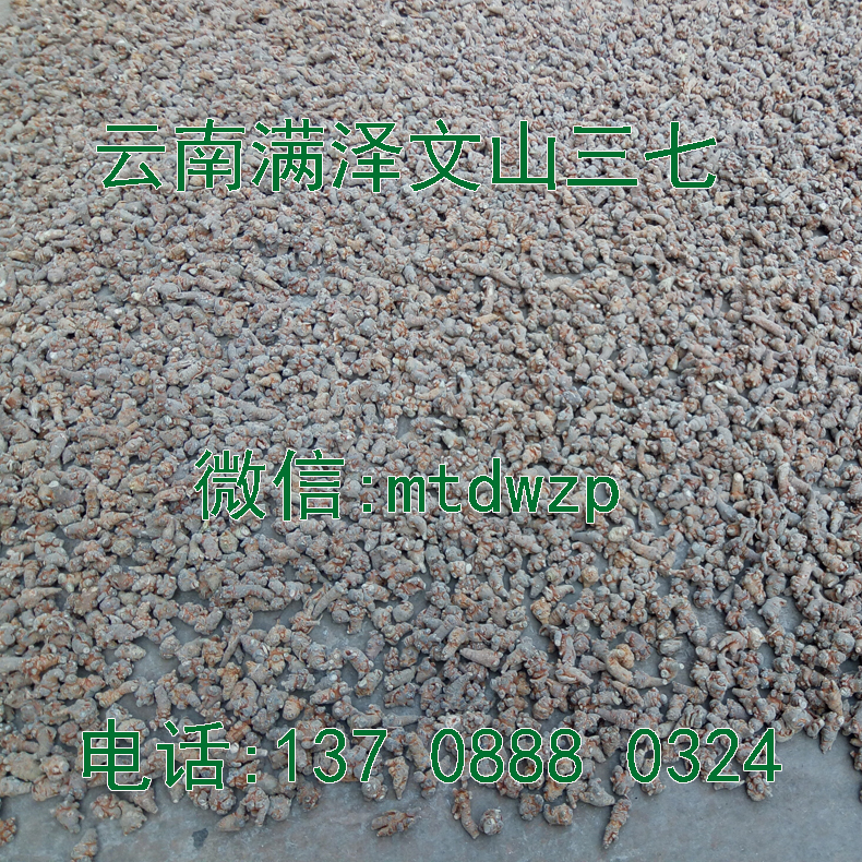 文山三七的作用 文山三七價格變動 文山三七多少錢一斤