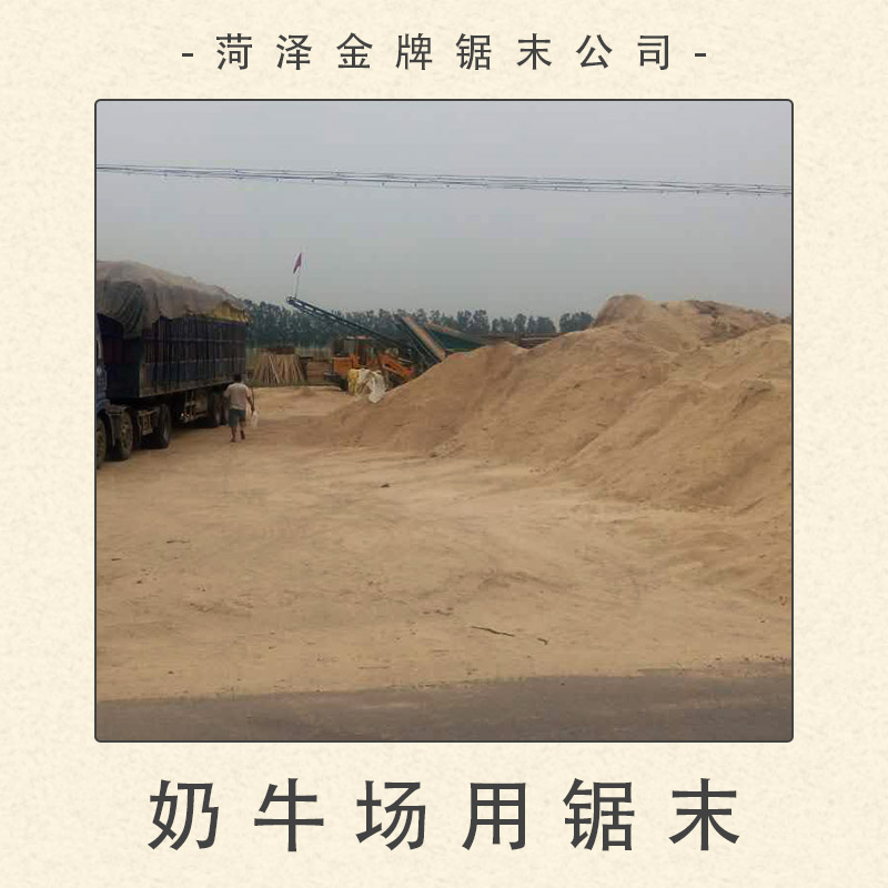 菏澤鋸末公司供應(yīng)奶牛場用鋸末 鋪墊床墊圈墊料鋸末 鋸末木屑顆粒