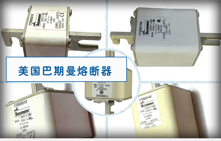 供應(yīng)170M2680美國巴斯曼-熔斷器哪里有-熔斷器多少錢