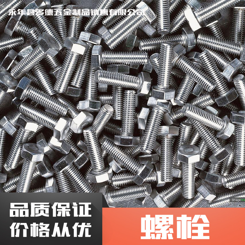 永年多德五金制品供應(yīng)螺栓 不銹鋼鍍鋅螺栓 圓柱螺紋緊固件