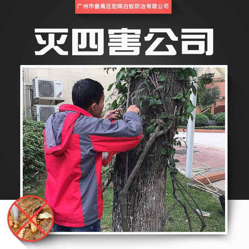 供應(yīng)滅四害公司 番禺區(qū)臭蟲(chóng)消殺工程 鐘村除四害服務(wù) 城市害蟲(chóng)防治工程
