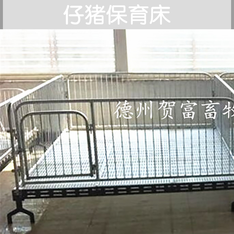 供應(yīng)仔豬保育床廠家直銷 山東仔豬保育床供應(yīng)商 仔豬保育床 小豬保育欄