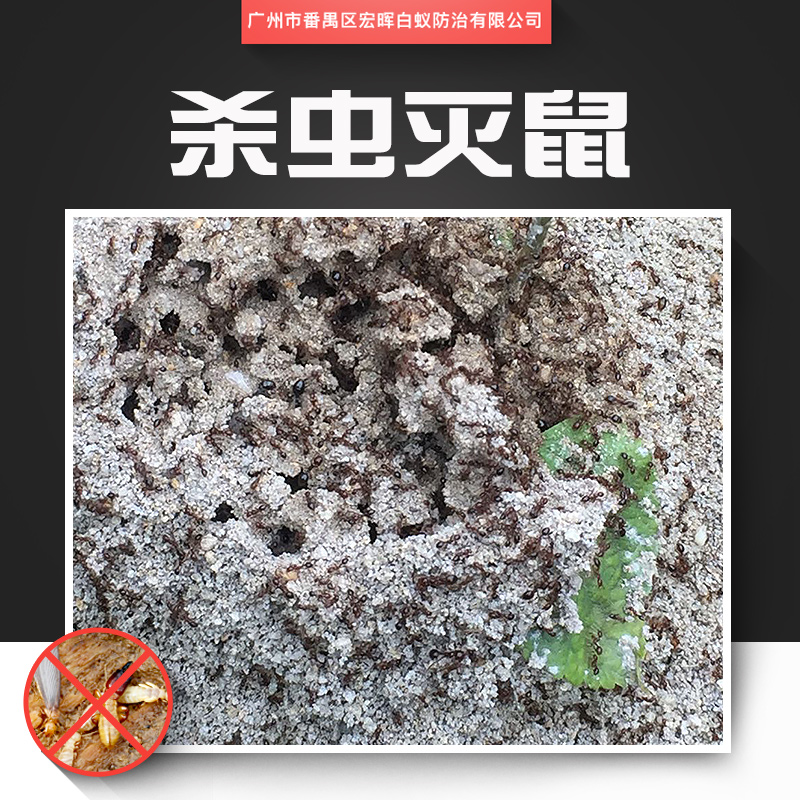 供應(yīng)殺蟲滅鼠 專業(yè)害蟲防治服務(wù) 城市害蟲防治工程 鐘村滅蟲害服務(wù)