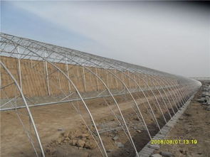 天津溫室大棚管廠家 大棚管*天津恒鑫達(dá) 大棚管的價(jià)格 大棚管的廠家 0