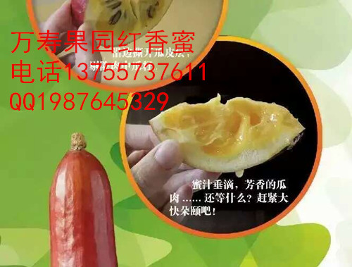 供應(yīng)用于種植的香如蜜