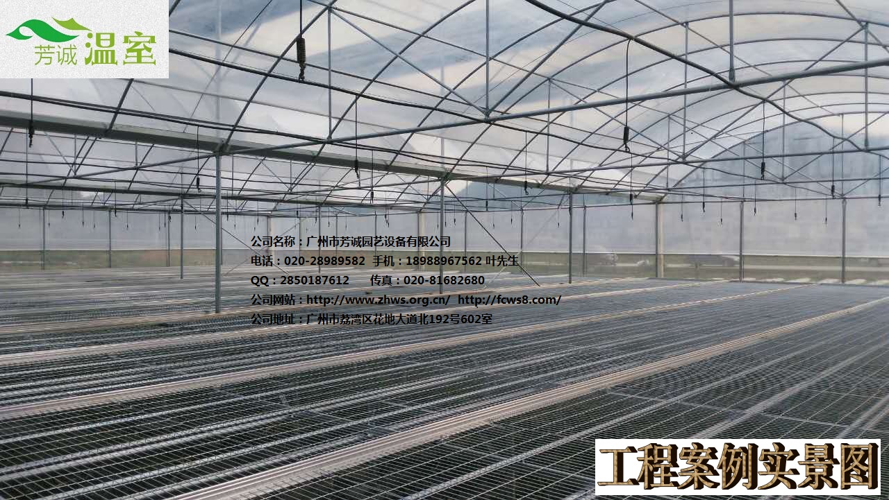 供應廣東蝴蝶蘭溫室 簡易大棚/溫室大棚/蔬菜大棚/育苗棚