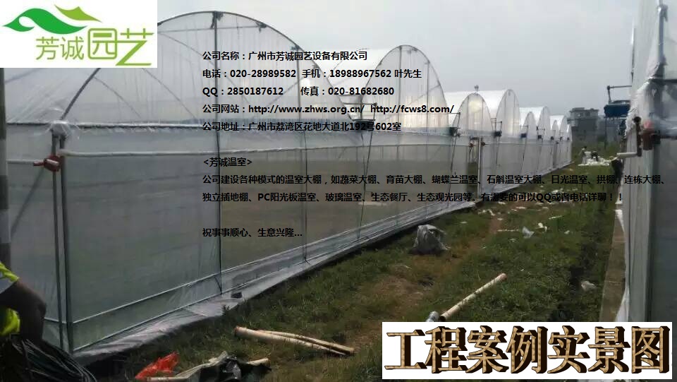 供應(yīng)廣西簡易聯(lián)棟蔬菜大棚 簡易大棚/溫室大棚/蔬菜大棚/育苗大棚