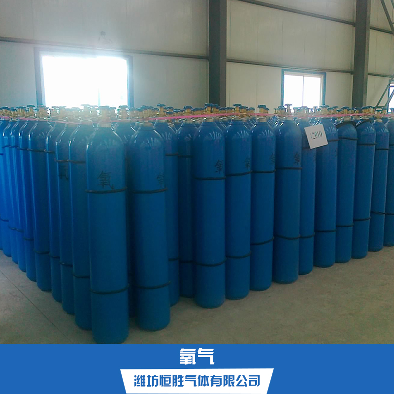 供應氧氣 工業(yè)氧氣 醫(yī)用氧氣 便攜氧氣 氧氣廠家直銷