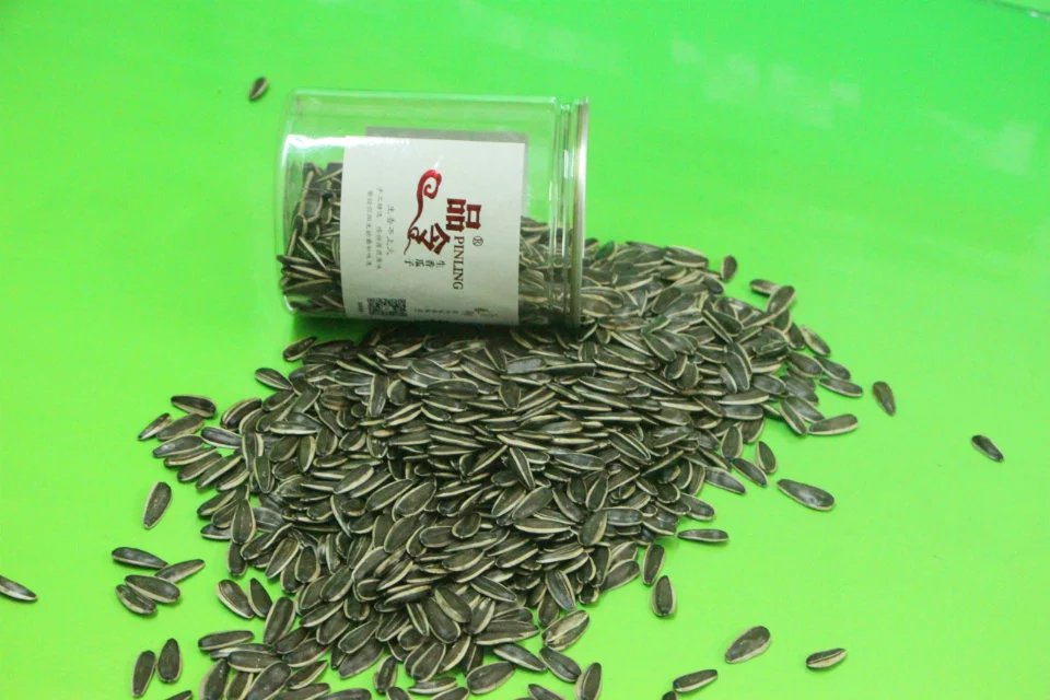 南瓜子廠家批發(fā)、 南瓜子供應(yīng) 南瓜子廠家批發(fā) 南瓜子批發(fā) 散裝南瓜子 煮瓜子