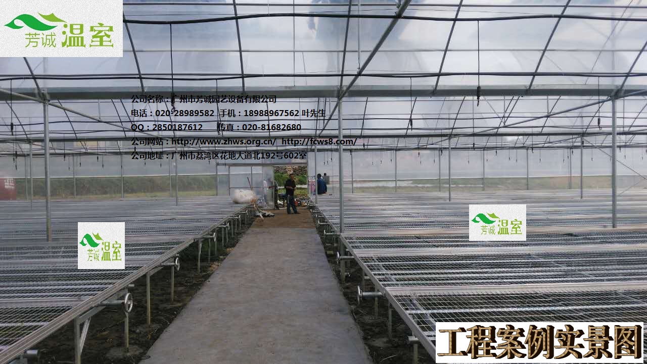 供應廣東蝴蝶蘭溫室 簡易大棚/溫室大棚/蔬菜大棚/育苗棚