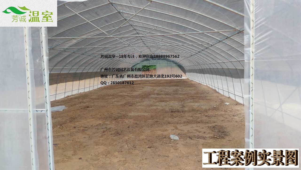 供應(yīng)福建水產(chǎn)養(yǎng)殖大棚 簡易大棚/溫室大棚/蔬菜大棚/育苗大棚