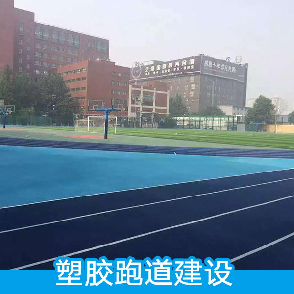 塑膠跑道建設(shè) 塑膠籃球場施工 塑膠籃球場建設(shè) 彩色塑膠球場