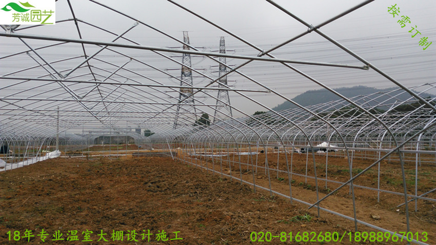 供應(yīng)用于蔬菜的簡易蔬菜溫室大棚/蔬菜大棚建設(shè)/蔬菜大棚報(bào)價(jià)