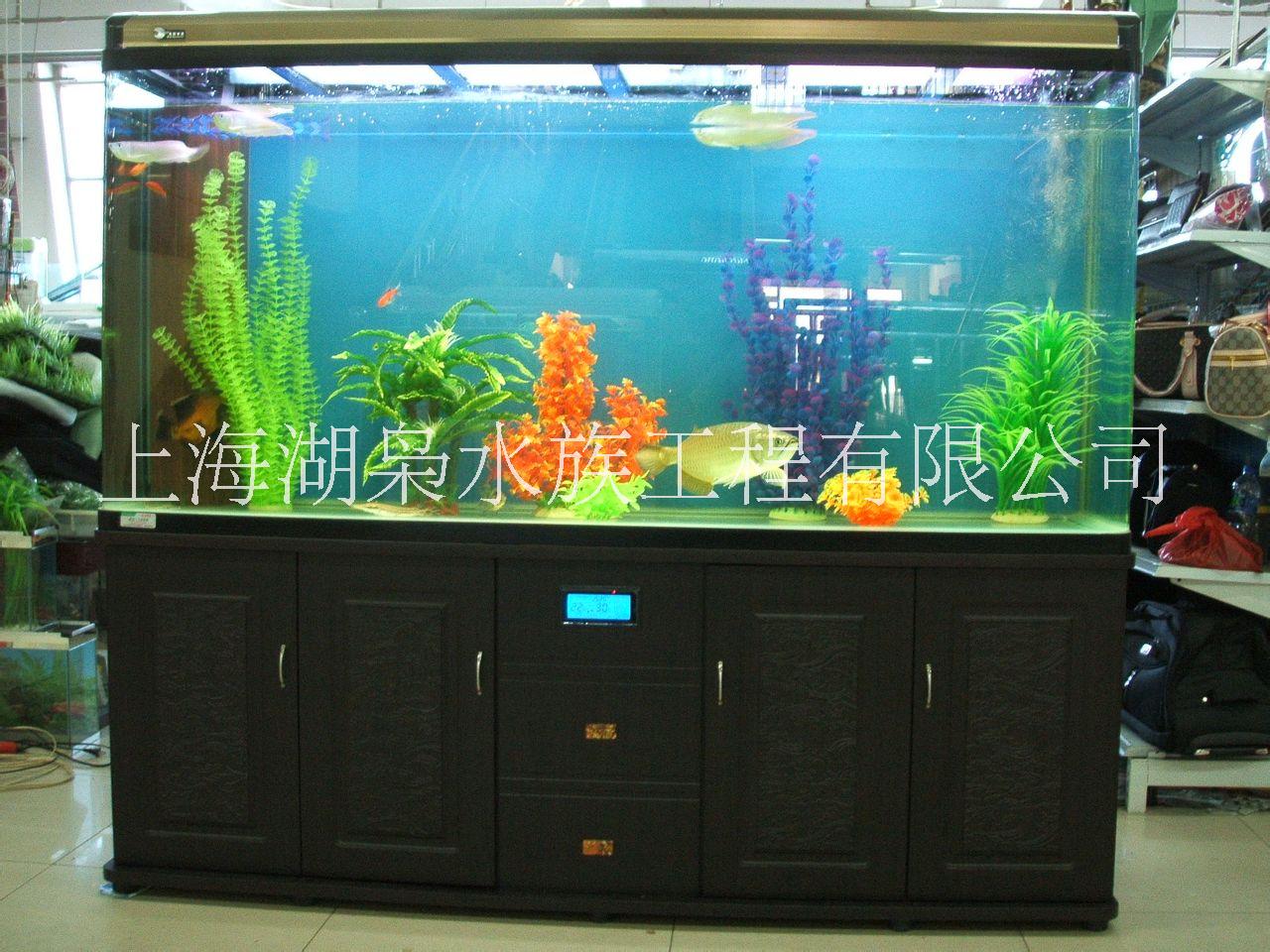 飼養(yǎng)熱帶魚魚缸 熱帶魚觀賞魚缸廠家  飼養(yǎng)熱帶魚生態(tài)魚缸