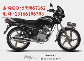 供應(yīng)廣州五羊本田領(lǐng)御125騎式摩托車