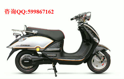 供應(yīng)愛瑪玫瑰mini*版電動車