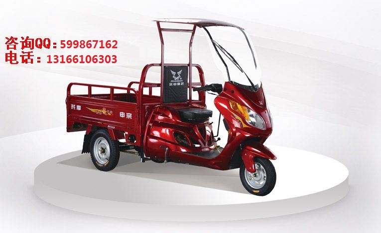 供應(yīng)宗申小金虎貨車三輪摩托車助殘車