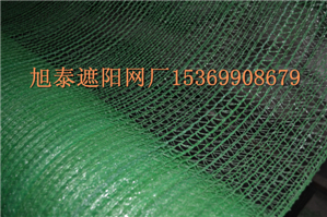 河北蓋土網(wǎng) 防塵網(wǎng)遮陽網(wǎng) 現(xiàn)貨廠家 工地蓋土網(wǎng) 現(xiàn)貨廠家4