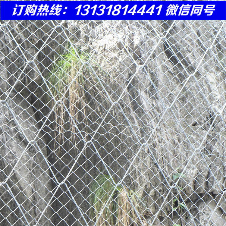 S250型SPIDER絞索網(wǎng)（隆恩）