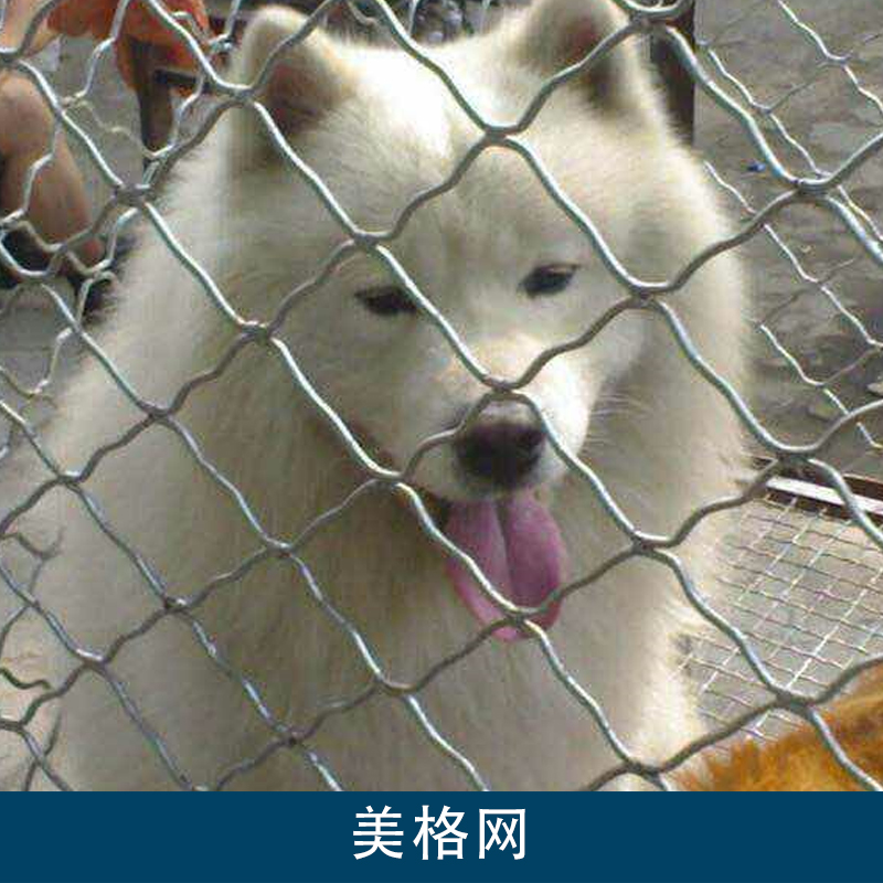 鍍鋅美格網(wǎng)，武漢美格網(wǎng)廠家批發(fā)，防護美格網(wǎng)，不銹鋼美格網(wǎng)
