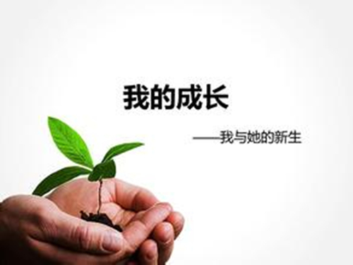 紫葉李小苗,紫葉稠李,紫葉李報(bào)價(jià) 紫葉李 紫葉李小苗 紫葉稠李 葉稠李