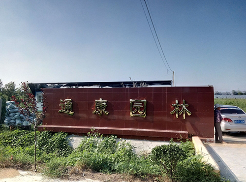 太陽李,太陽李樹苗,太陽李報(bào)價(jià),太陽李樹苗廠家