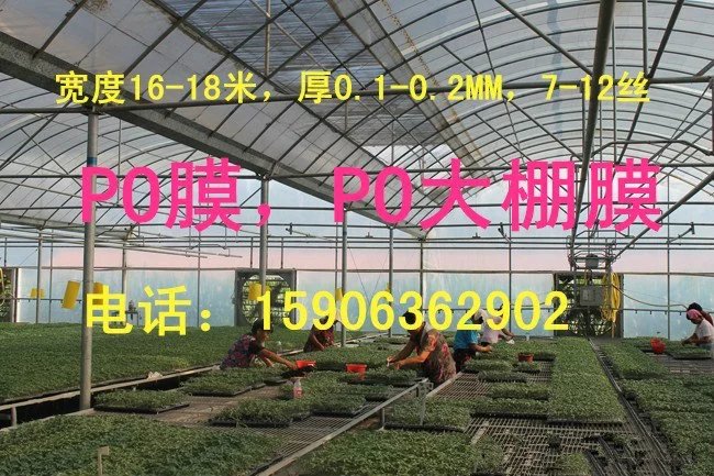 大棚膜 聚乙烯塑料薄膜，寬度15米，厚度0.1-0.2MM，1-12絲 大棚膜，聚乙烯大棚膜