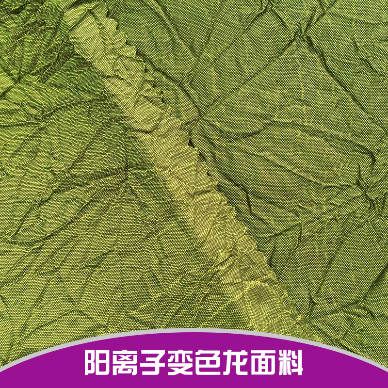 陽離子變色龍面料廠家直銷 陽離子變色龍面料 變色龍面料色丁 變色龍面料加厚 提花變色龍面料