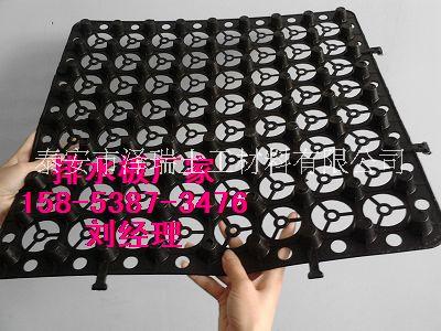 供應(yīng)寧德蓄排水板,塑料卷材排水板