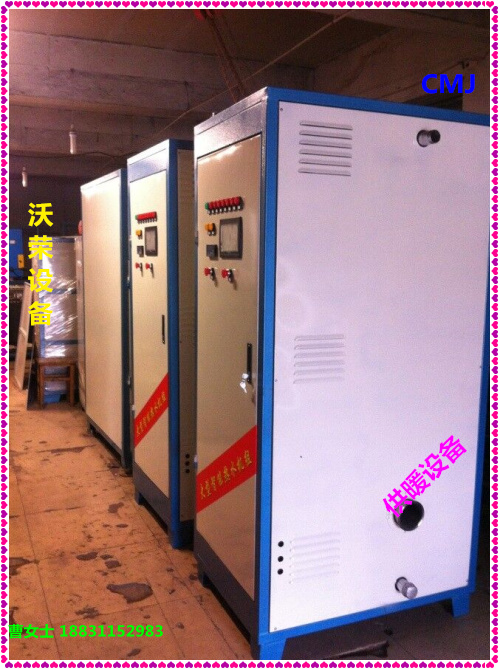 直銷(xiāo)水循環(huán)鍋爐