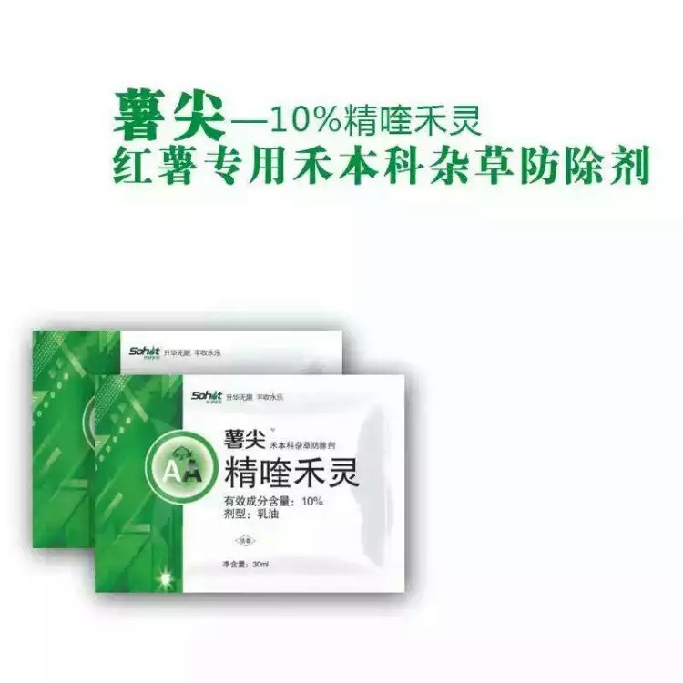 供應(yīng)紅薯*農(nóng)資 * 膨大素 紅薯** 紅薯*膨大素 甘薯膨大素