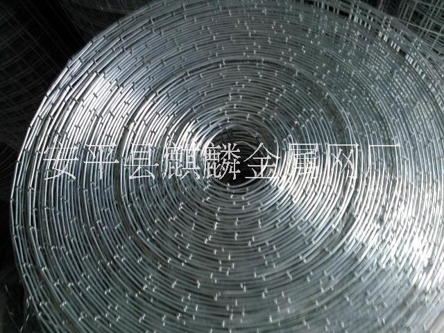 供應(yīng)合肥鐵絲網(wǎng)廠家/麒麟綠色鐵絲網(wǎng)