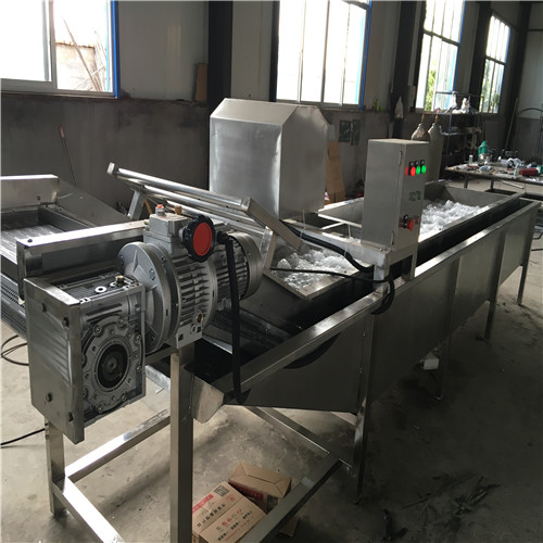 明超鮮枸杞清洗加工線 枸杞清洗機，枸杞清洗烘干流水線