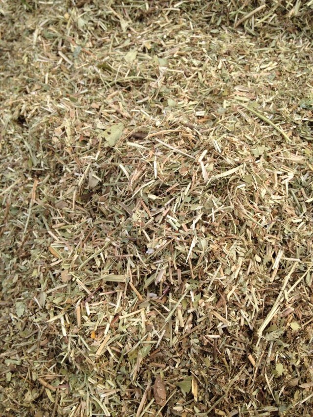 遼寧花生秧 河北花生秧草粉批發(fā) 花生秧粉廠家直銷 花生秧批發(fā)價