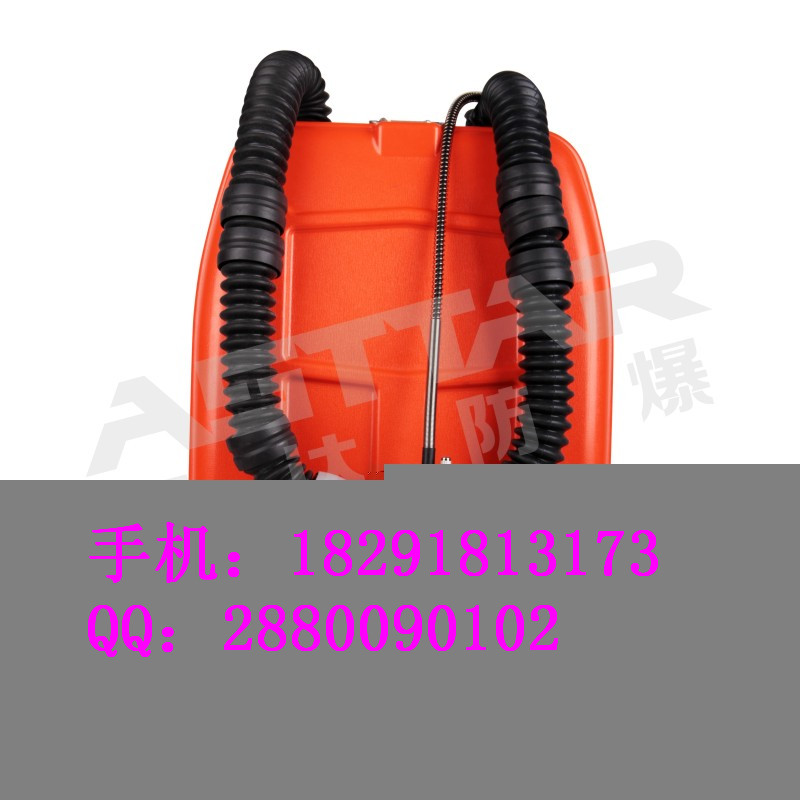 供應(yīng)HYZ4隔絕式正壓氧氣呼吸器 山西HYZ4隔絕式正壓氧氣呼吸器