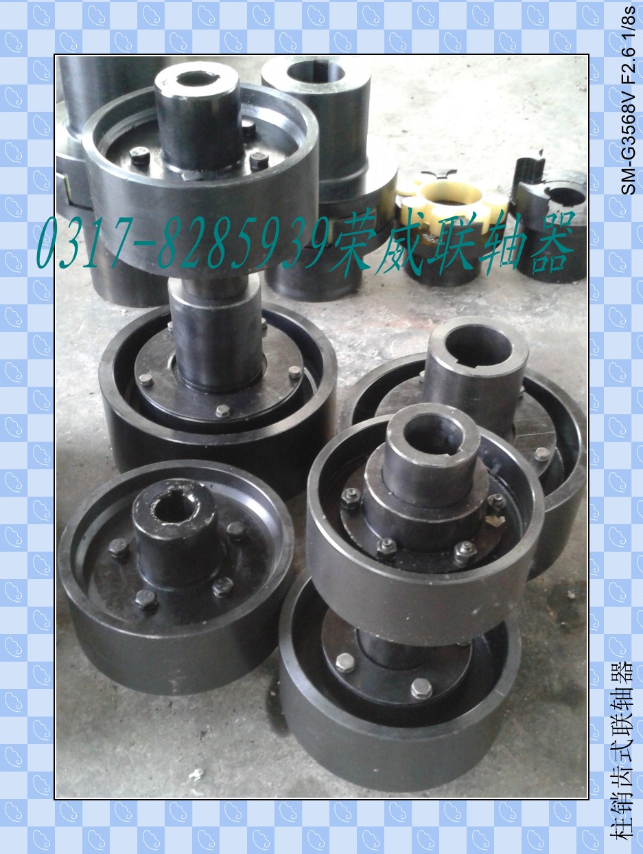 生產(chǎn)LJ型徑向彈性柱銷聯(lián)軸器/榮威機(jī)械