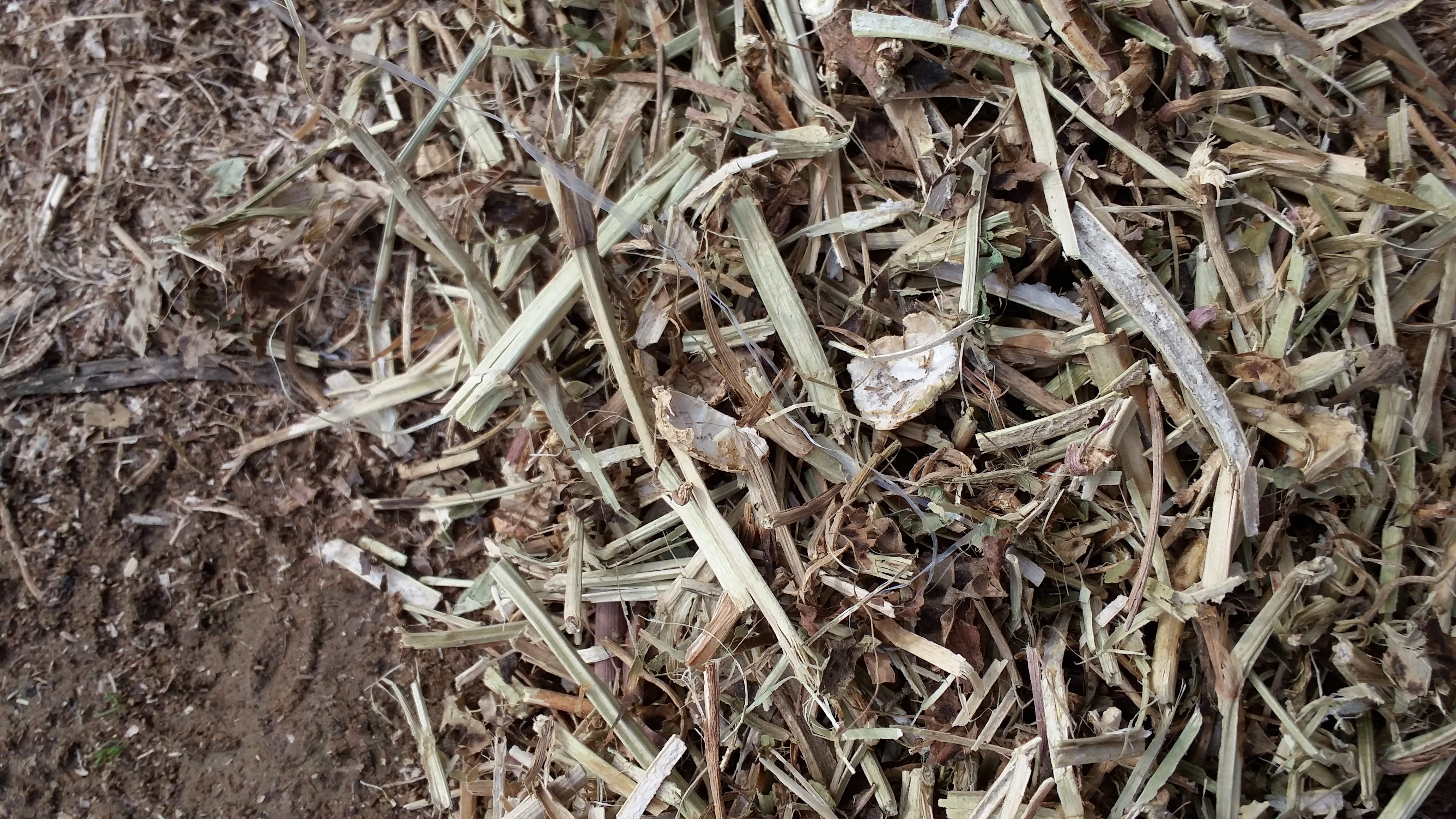 山東草粉，花生秧草粉價格，花生秧價格