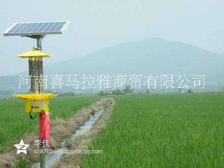 太陽(yáng)能sha 新款太陽(yáng)能殺蟲(chóng)燈