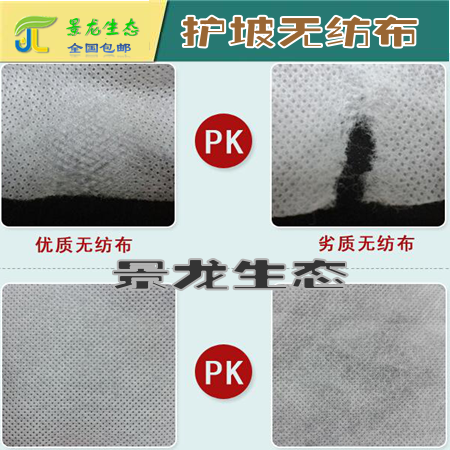 邊坡綠化無紡布 白色 綠色無紡布 長絲 抗老化 專業(yè)無紡布