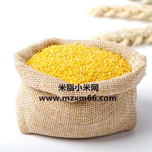 小馬快跑-陜北米脂小米批發(fā)價格