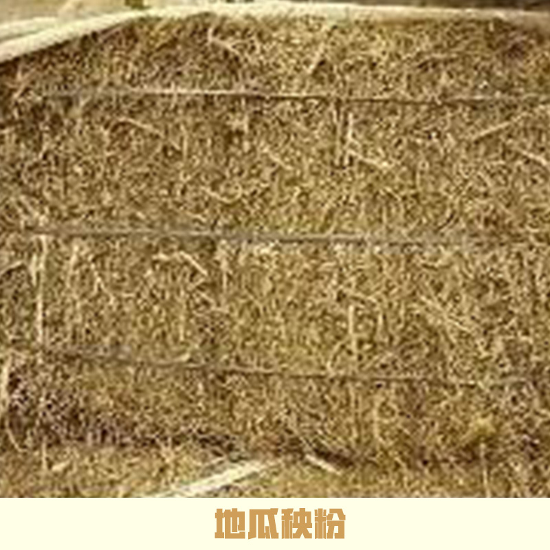 地瓜秧粉廠家直銷 地瓜秧草粉 山東地瓜秧粉 地瓜秧 地瓜秧粉 地瓜粉