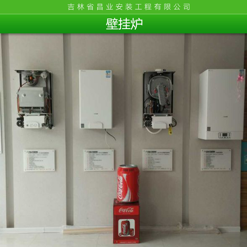CITYBASIC意特系列壁掛爐燃氣壁掛爐品牌