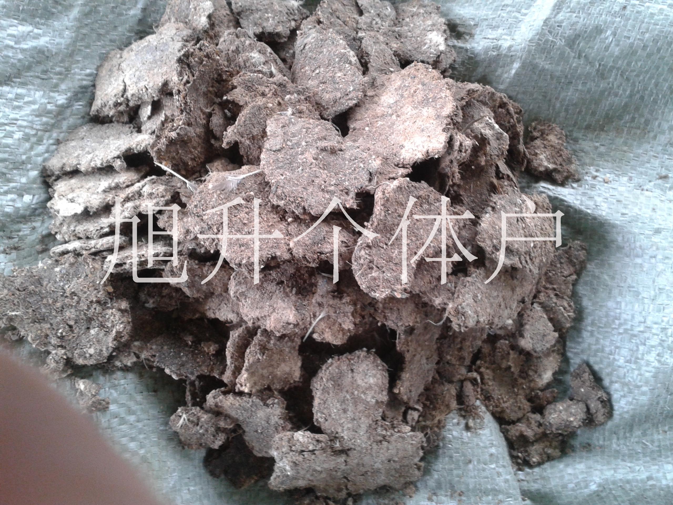 江西贛州純干無雜質雞糞有機肥批發(fā)養(yǎng)雞廠家，供應江西純干雞糞價格