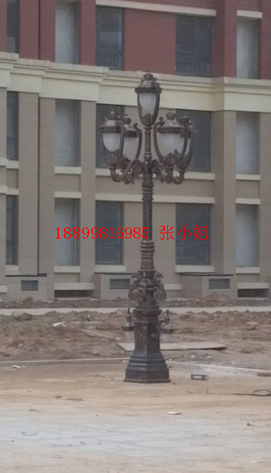 戶外景觀庭院燈廠家定制，不銹鋼庭院燈價(jià)格，戶外景觀庭院燈廠 批發(fā)戶外景觀庭院燈廠家定制
